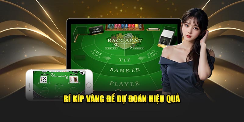 Bí kíp vàng để dự đoán hiệu quả