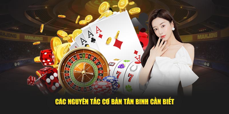 Các nguyên tắc cơ bản tân binh cần biết 