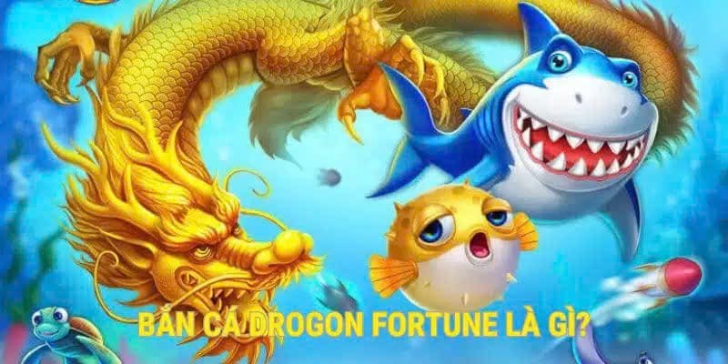 Tìm hiểu bắn cá Dragon Fortune 